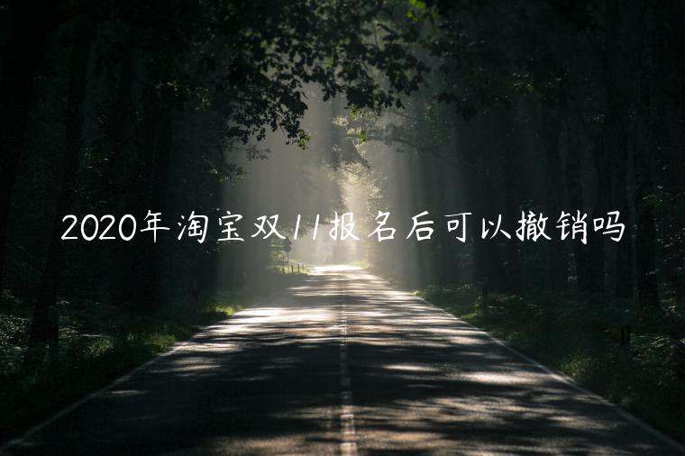 2023年淘寶雙11報(bào)名后可以撤銷嗎